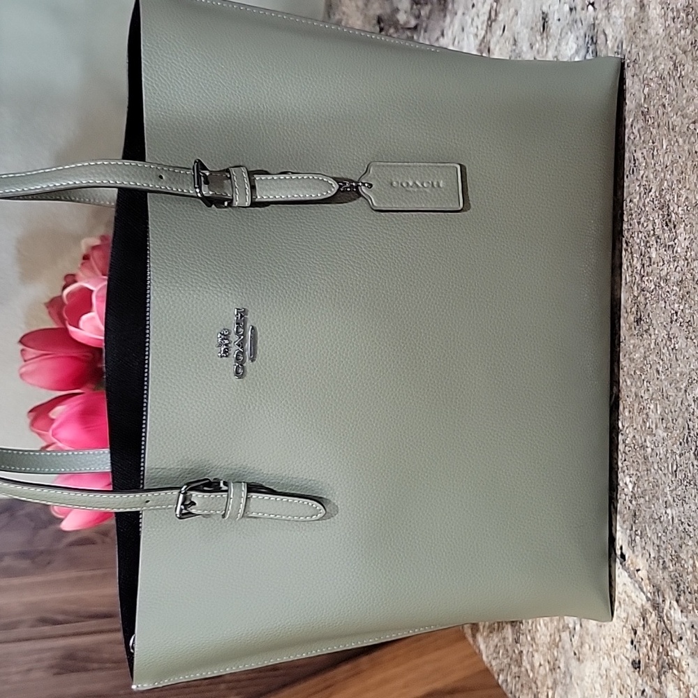 COACH NWOT Pebble Leather Mollie Large Tote Bag Pale Pistachio Green - Picture 2 of 7